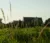 A picture of campus above grass
