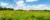 A picture of Dordt's prairie