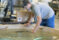 Student leans over to look at a tank with carp in it