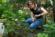 Female student collects sample in the woods at Oak Grove