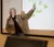 Dr. Sandouka points to the screen in a stats class as she explains a concept