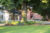 A large tree in center with statue of The Gift and buildings behind