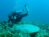 A picture of Seth Vande Kamp scuba diving
