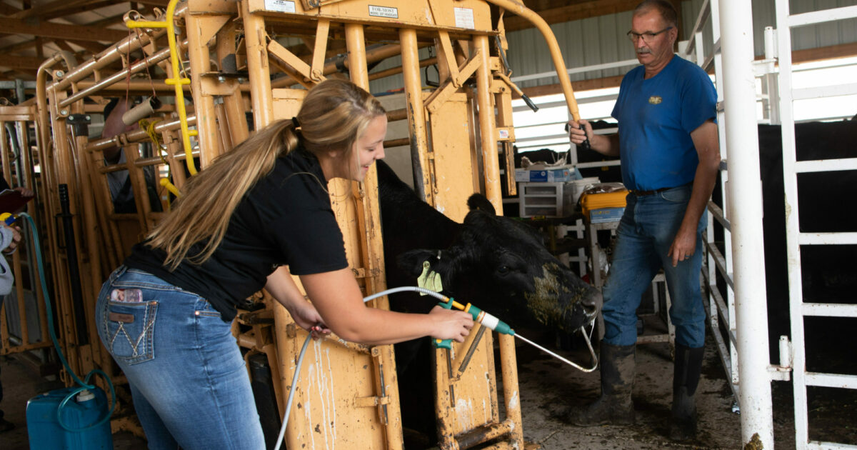 Animal Science | Dordt University Animal Science | Dordt University