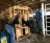 A female student works cattle at the Agriculture Stewardship Center