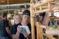 Students work alongside a vet working cattle