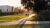 Two students walk down campus