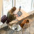 A Dordt student sitting down at a table studying