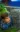A picture of Nathan Ryder