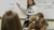 Social work professor points to writing on the board during a lecture
