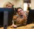 Male student at computer points to screen of female student while she observes