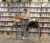 A female student stands up at a table while working on her laptop in the library