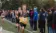 A picture of Dordt's men's Cross Country race