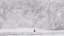 A picture of a person walking through a frozen forest